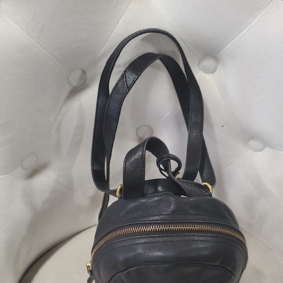 Fossil Midnight Black Backpack with Gold Accents - Picture 3 of 14